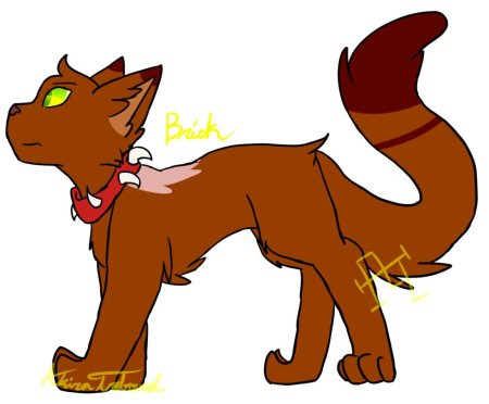 Коты воители бич