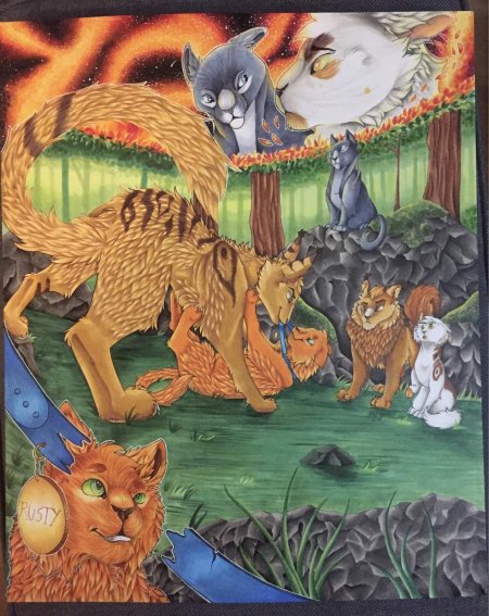 Стань диким коты воители