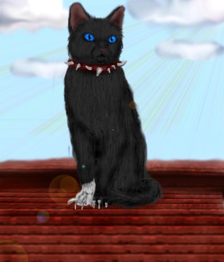 Коты воители бич