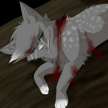 Коты воители смерти