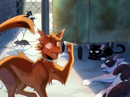 Коты воители огни звезд