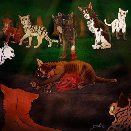 Смерть звездоцапа коты воители