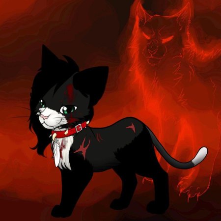 Коты воители бич