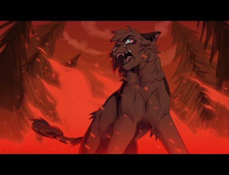 Уголек коты воители