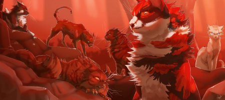 Коты воители кленовница и звездоцап