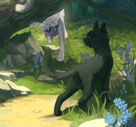 Пепелица коты воители