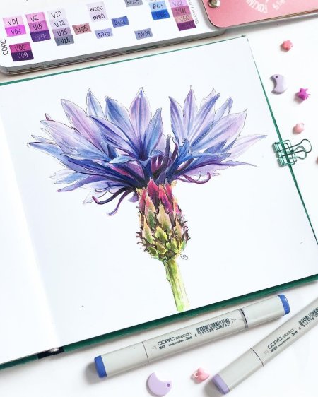 Ботанический скетчинг маркерами