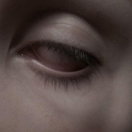 Глаза эстетика