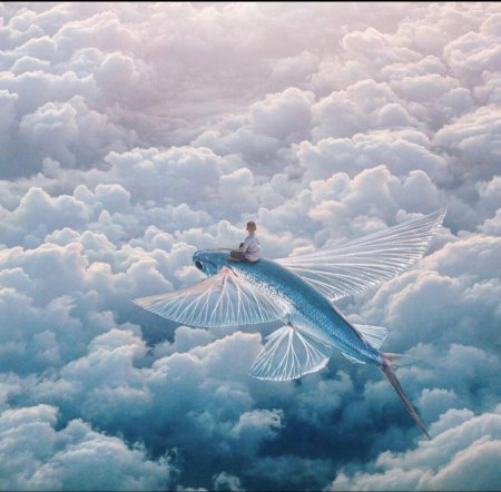 Четырехкрылая летучая рыба