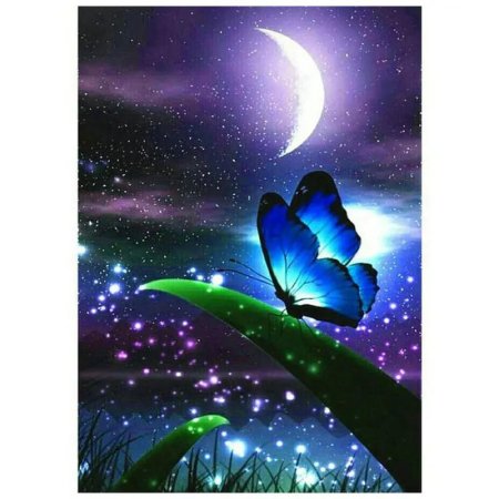 Бабочка ночь