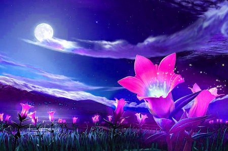 Волшебные цветы