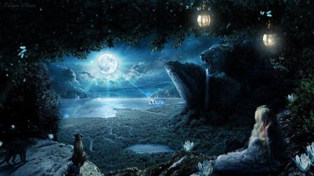 Ночь фэнтези