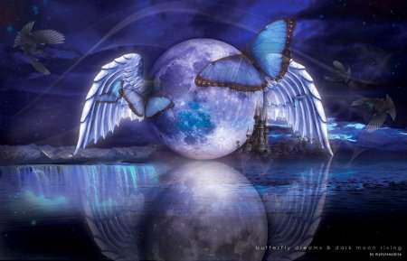 Лунная бабочка