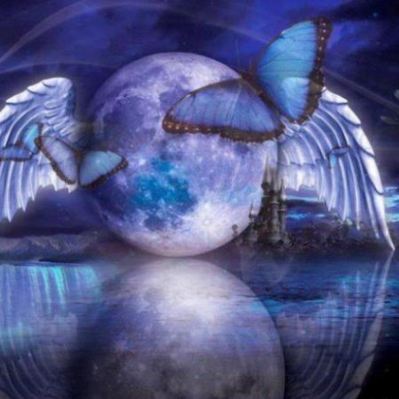 Лунная бабочка