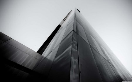 Обои architector black and white