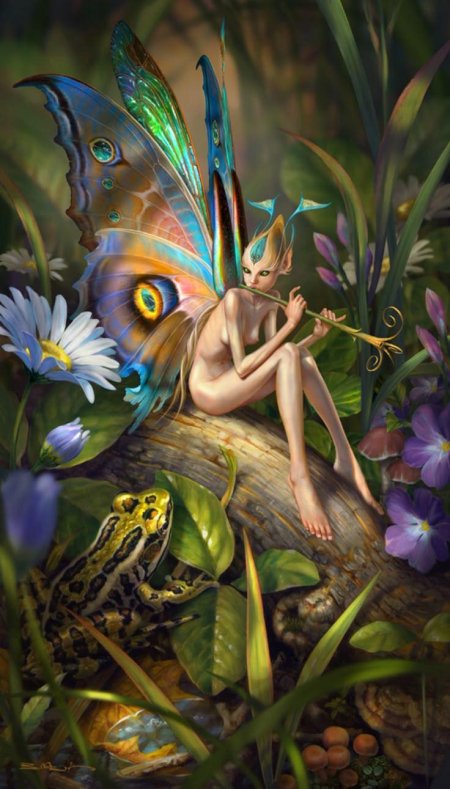 Феи и эльфы