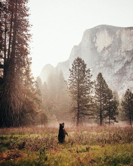Уединение с природой