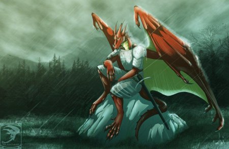 Дракониды фурри