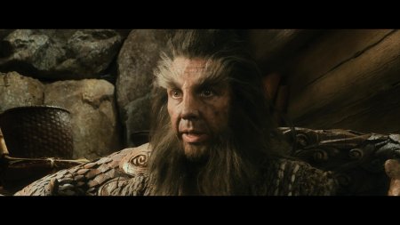 Беорн хоббит