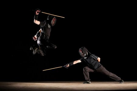 Сават фехтование тростью