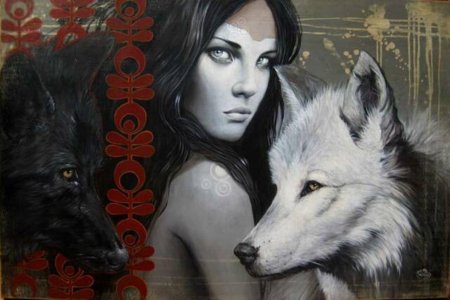 Художник софи уилкинс