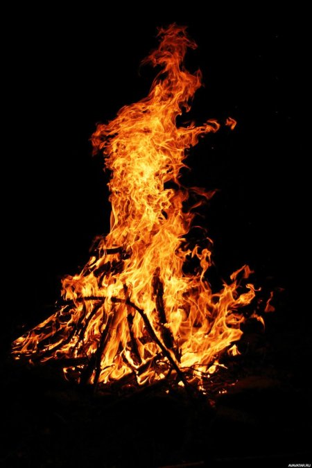 Костер огонь