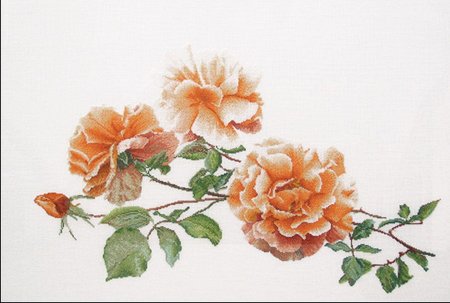 Тея гувернер розы