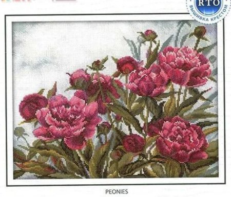 Пионы вышивка крестом