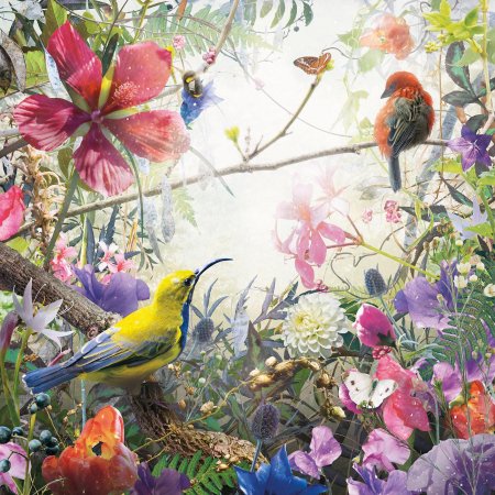 Птицы живопись