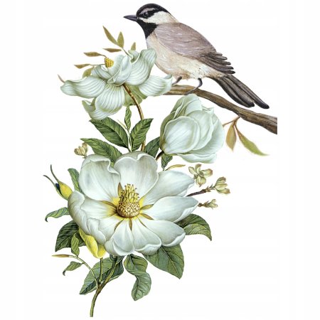 Цветок иллюстрация