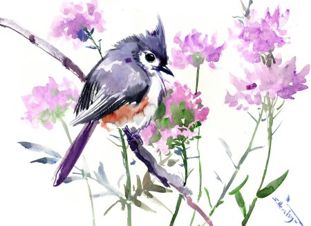 Птичка акварель