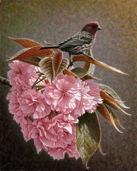 Живопись птицы