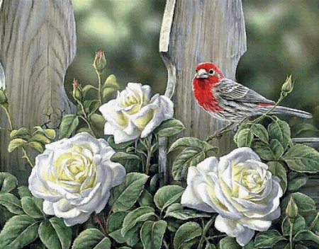 Художница rosemary millette