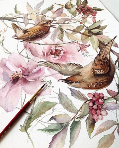 Акварель katya_mihailina птицы