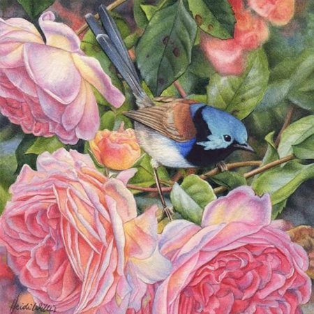 Хайди уиллис картины