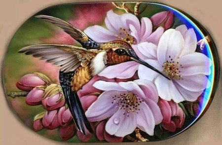 Колибри на цветке