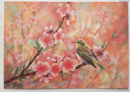 Птицы на цветах живопись