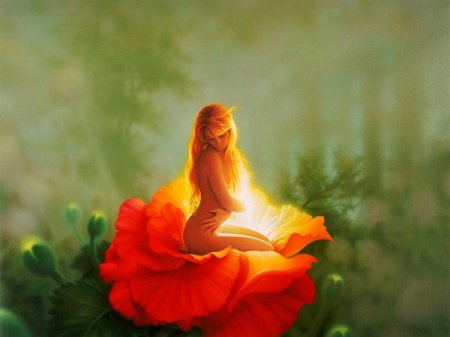 Сказочные цветы