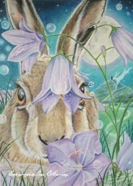 Лунный заяц