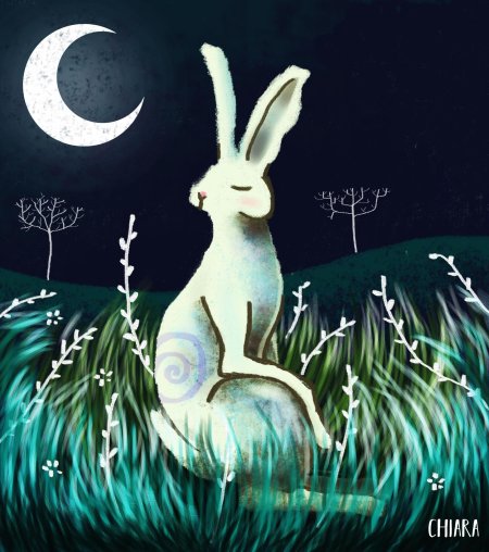 Аманда кларк заяц картины