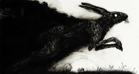 Черные зайцы