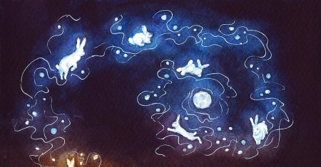 Сказки звездного неба дубкова