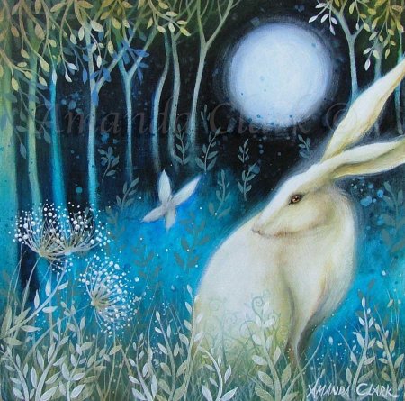 Аманда кларк (amanda clark)