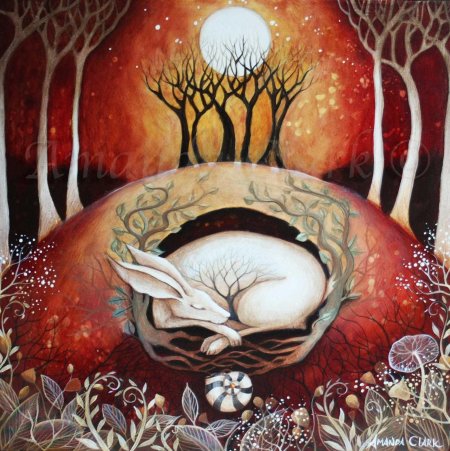 Аманда кларк