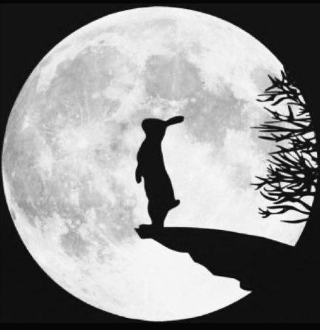 На фоне луны