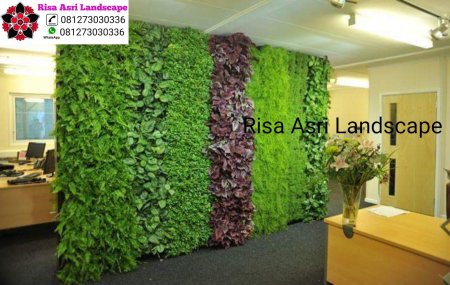 Фитостена живая зеленая