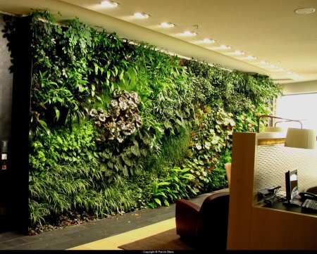 Лиана грин вертикальное озеленение