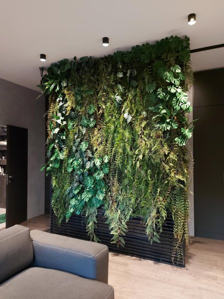 Фитостена эмеральд грин