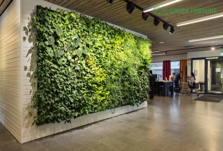 Лиана грин вертикальное озеленение