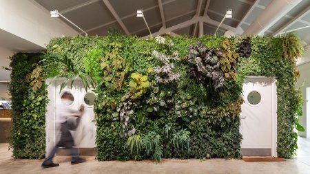 Фитостена вертикальное озеленение